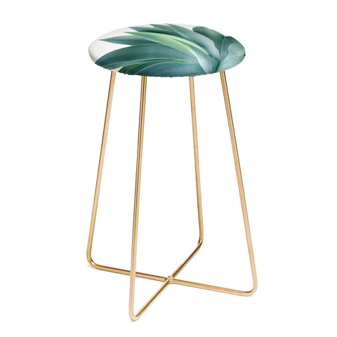 Gale Switzer Agave Blanco Counter Stool