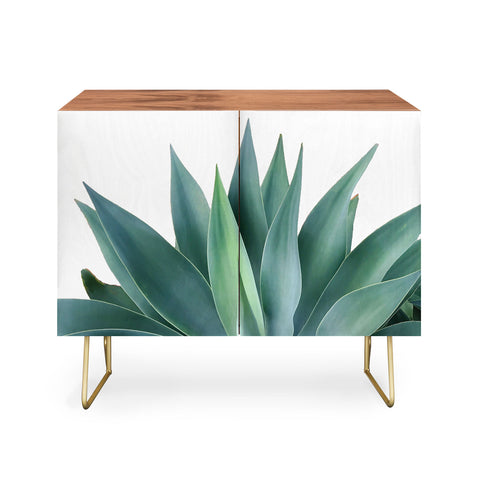 Gale Switzer Agave Blanco Credenza