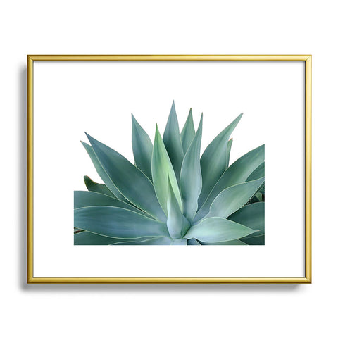 Gale Switzer Agave Blanco Metal Framed Art Print
