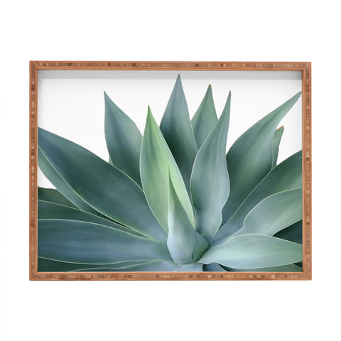 Gale Switzer Agave Blanco Rectangular Tray