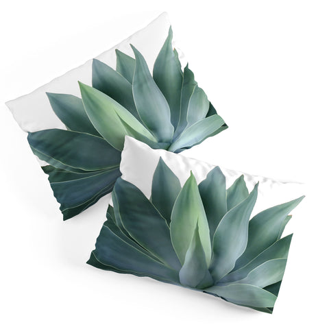 Gale Switzer Agave Blanco Pillow Shams