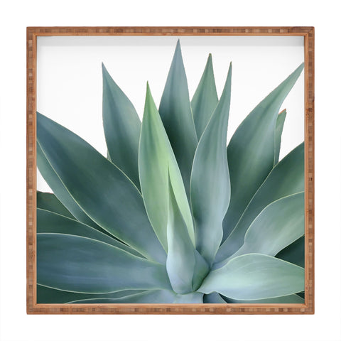 Gale Switzer Agave Blanco Square Tray