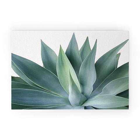 Gale Switzer Agave Blanco Welcome Mat