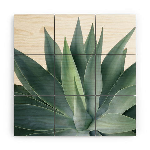 Gale Switzer Agave Blanco Wood Wall Mural