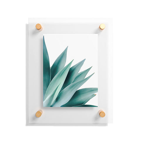 Gale Switzer Agave Flare II Floating Acrylic Print