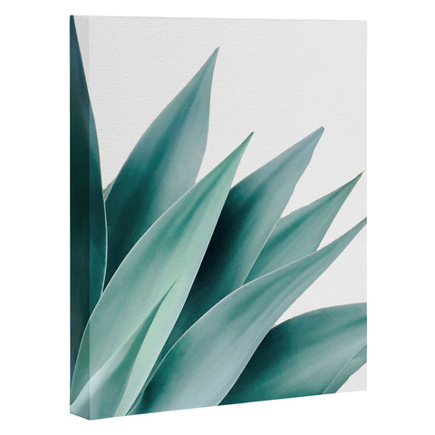 Gale Switzer Agave Flare II Art Canvas