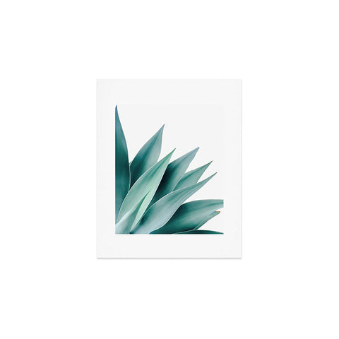 Gale Switzer Agave Flare II Art Print