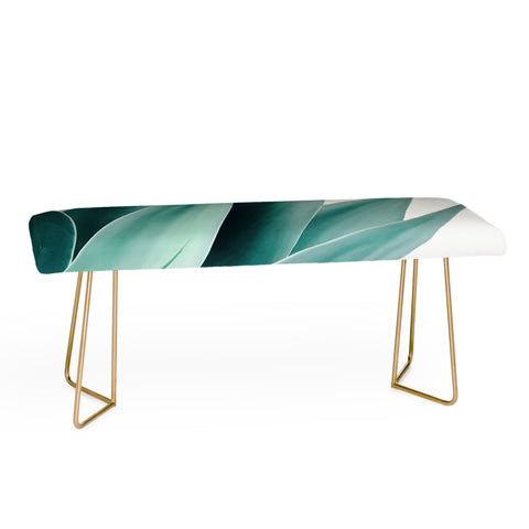 Gale Switzer Agave Flare II Bench