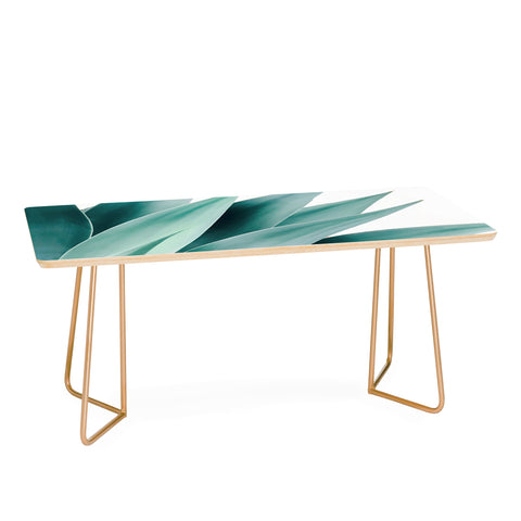 Gale Switzer Agave Flare II Coffee Table