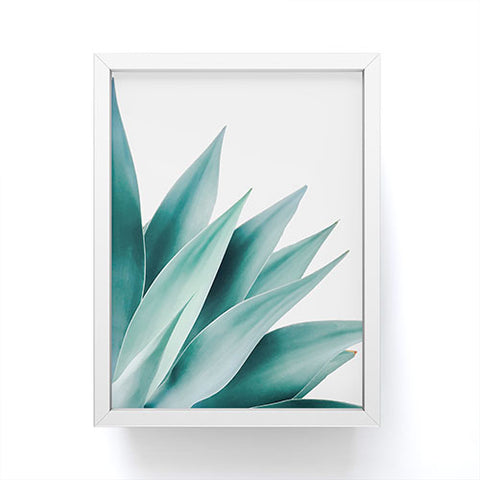 Gale Switzer Agave Flare II Framed Mini Art Print