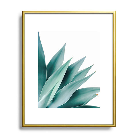Gale Switzer Agave Flare II Metal Framed Art Print
