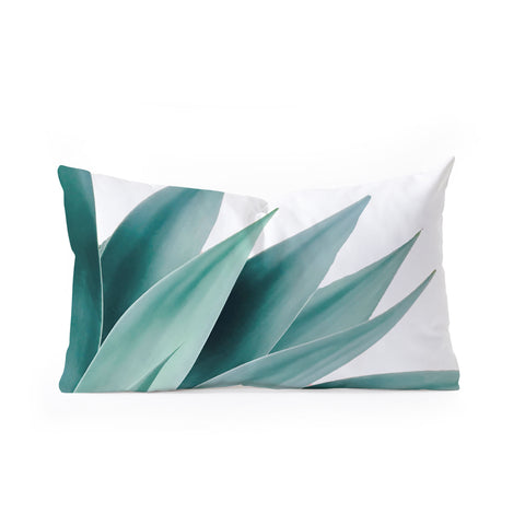 Gale Switzer Agave Flare II Oblong Throw Pillow