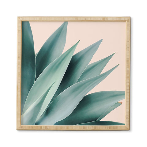 Gale Switzer Agave Flare II peach Framed Wall Art