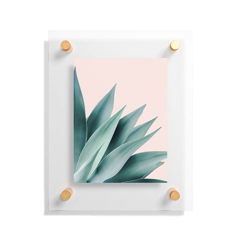 Gale Switzer Agave Flare II peach Floating Acrylic Print