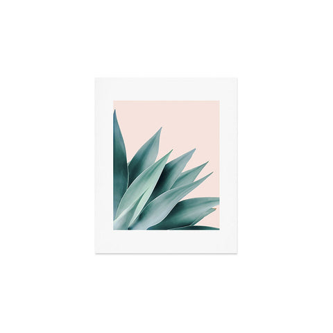 Gale Switzer Agave Flare II peach Art Print