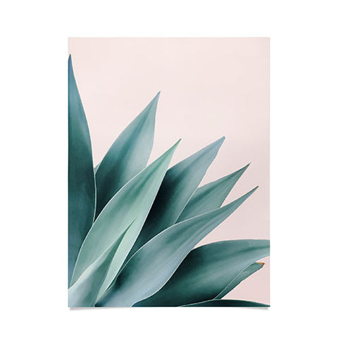 Gale Switzer Agave Flare II peach Poster