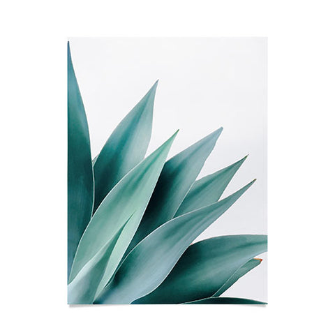 Gale Switzer Agave Flare II Poster
