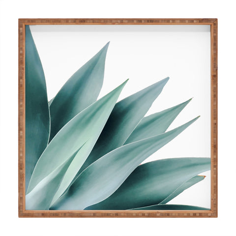 Gale Switzer Agave Flare II Square Tray