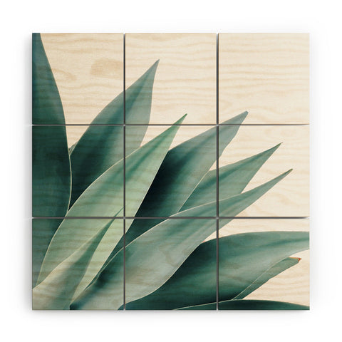 Gale Switzer Agave Flare II Wood Wall Mural