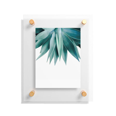 Gale Switzer Agave fringe Floating Acrylic Print