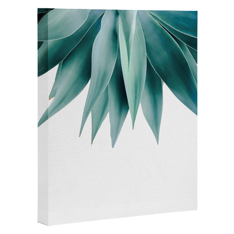 Gale Switzer Agave fringe Art Canvas