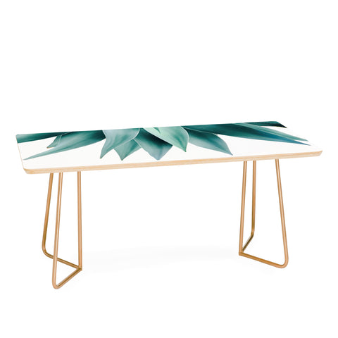 Gale Switzer Agave fringe Coffee Table