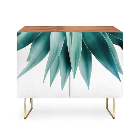 Gale Switzer Agave fringe Credenza