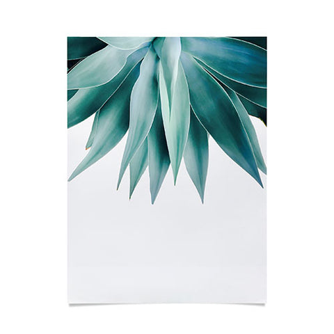 Gale Switzer Agave fringe Poster