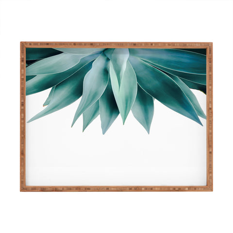 Gale Switzer Agave fringe Rectangular Tray