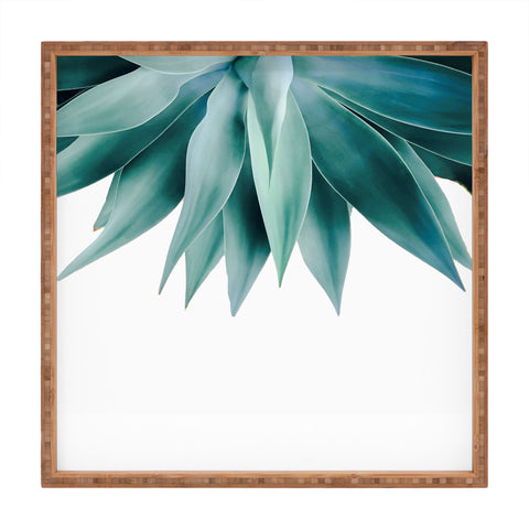 Gale Switzer Agave fringe Square Tray