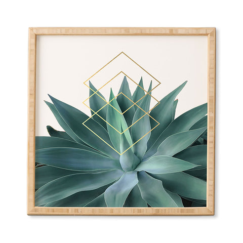 Gale Switzer Agave geometrics Framed Wall Art