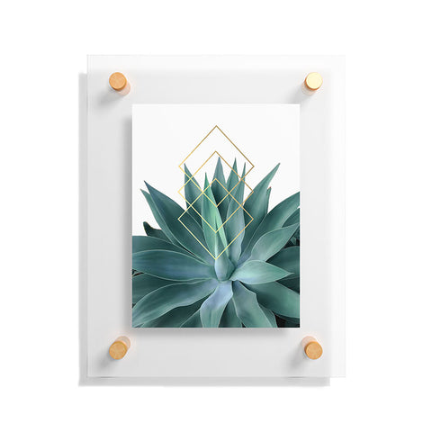 Gale Switzer Agave geometrics Floating Acrylic Print