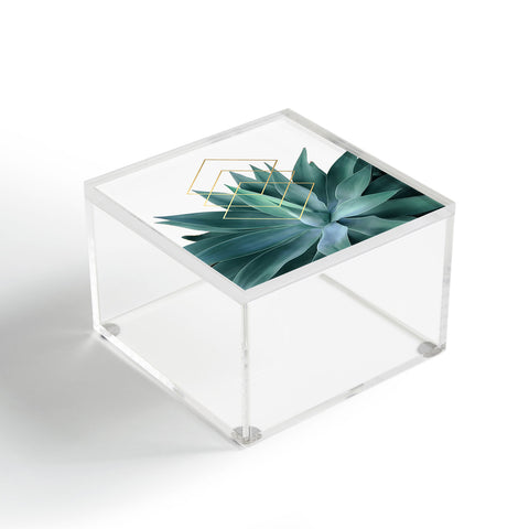 Gale Switzer Agave geometrics Acrylic Box