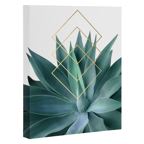 Gale Switzer Agave geometrics Art Canvas