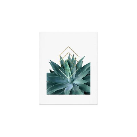 Gale Switzer Agave geometrics Art Print