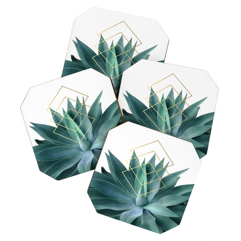 Gale Switzer Agave geometrics Coaster Set