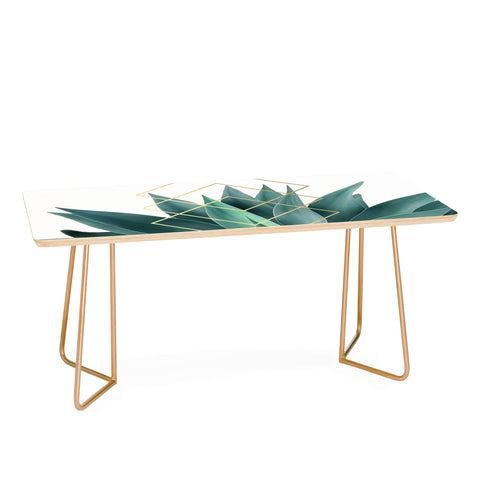 Gale Switzer Agave geometrics Coffee Table