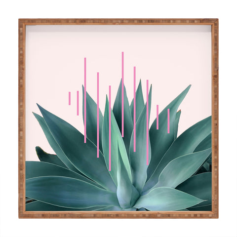 Gale Switzer Agave Geometrics II pink Square Tray