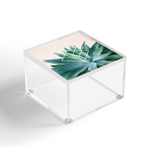 Gale Switzer Agave geometrics peach Acrylic Box