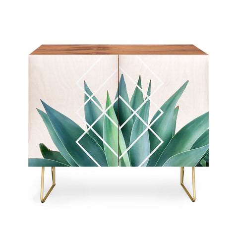 Gale Switzer Agave geometrics peach Credenza