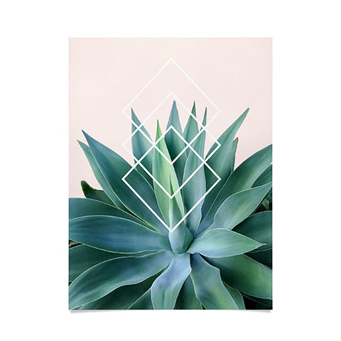Gale Switzer Agave geometrics peach Poster
