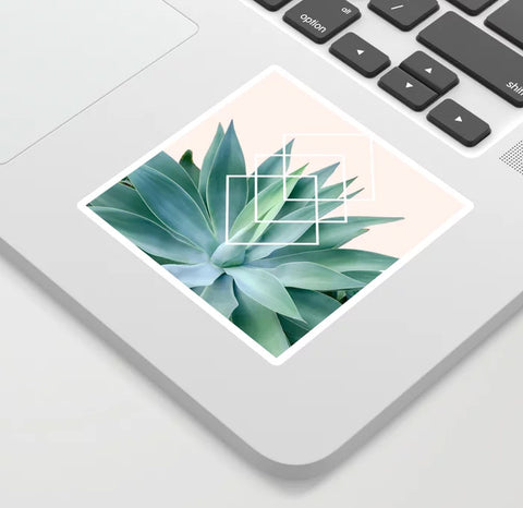 Gale Switzer Agave geometrics peach Vinyl Sticker
