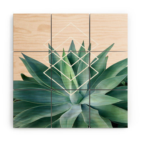 Gale Switzer Agave geometrics peach Wood Wall Mural