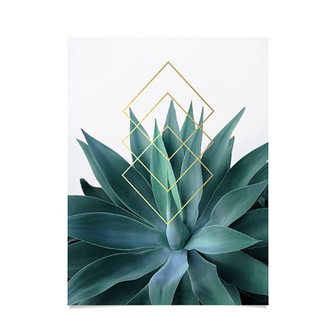 Gale Switzer Agave geometrics Poster