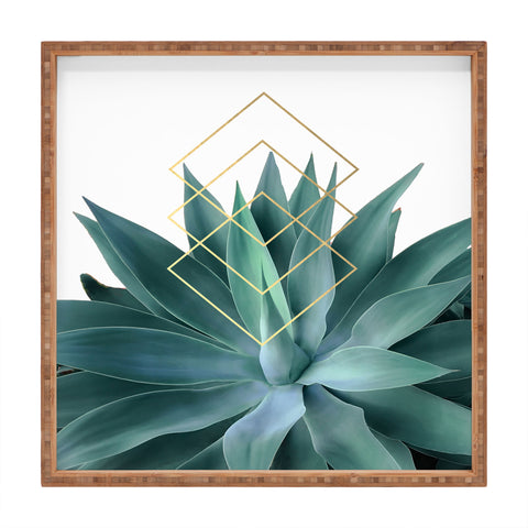 Gale Switzer Agave geometrics Square Tray