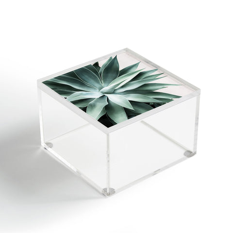 Gale Switzer Bursting into Life Acrylic Box