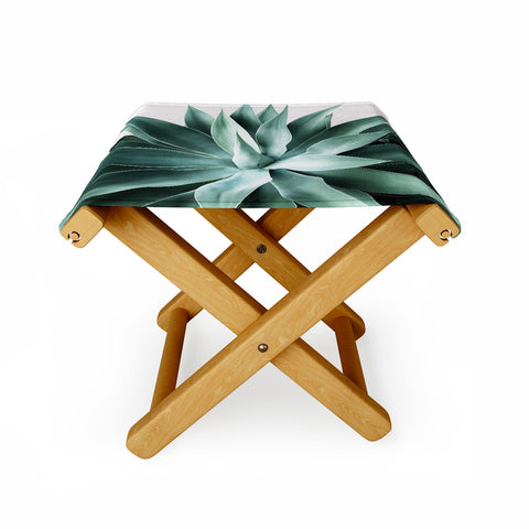 Gale Switzer Bursting into Life Folding Stool