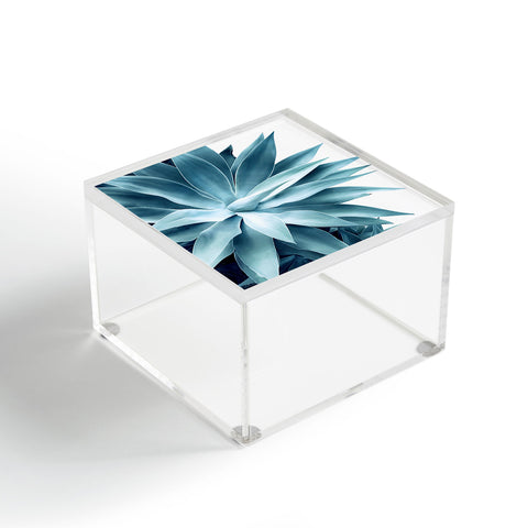 Gale Switzer Bursting into life teal Acrylic Box