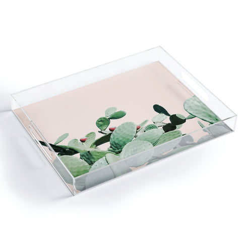 Gale Switzer Cactus Culture Acrylic Tray