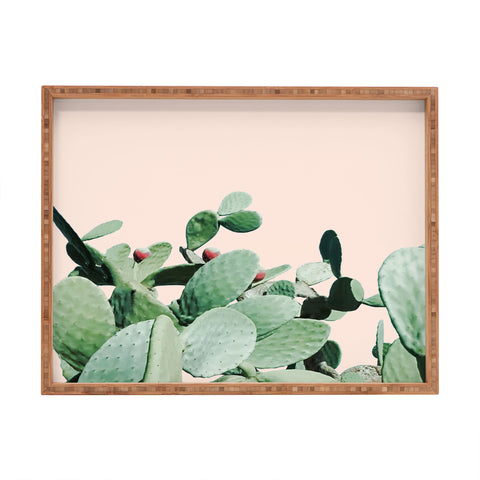 Gale Switzer Cactus Culture Rectangular Tray